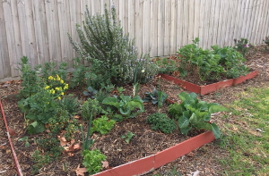 Washington Commons - Public Edible Planting